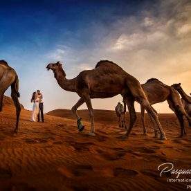 Luxury Wedding Dubai Photographer, Annie & Thomas